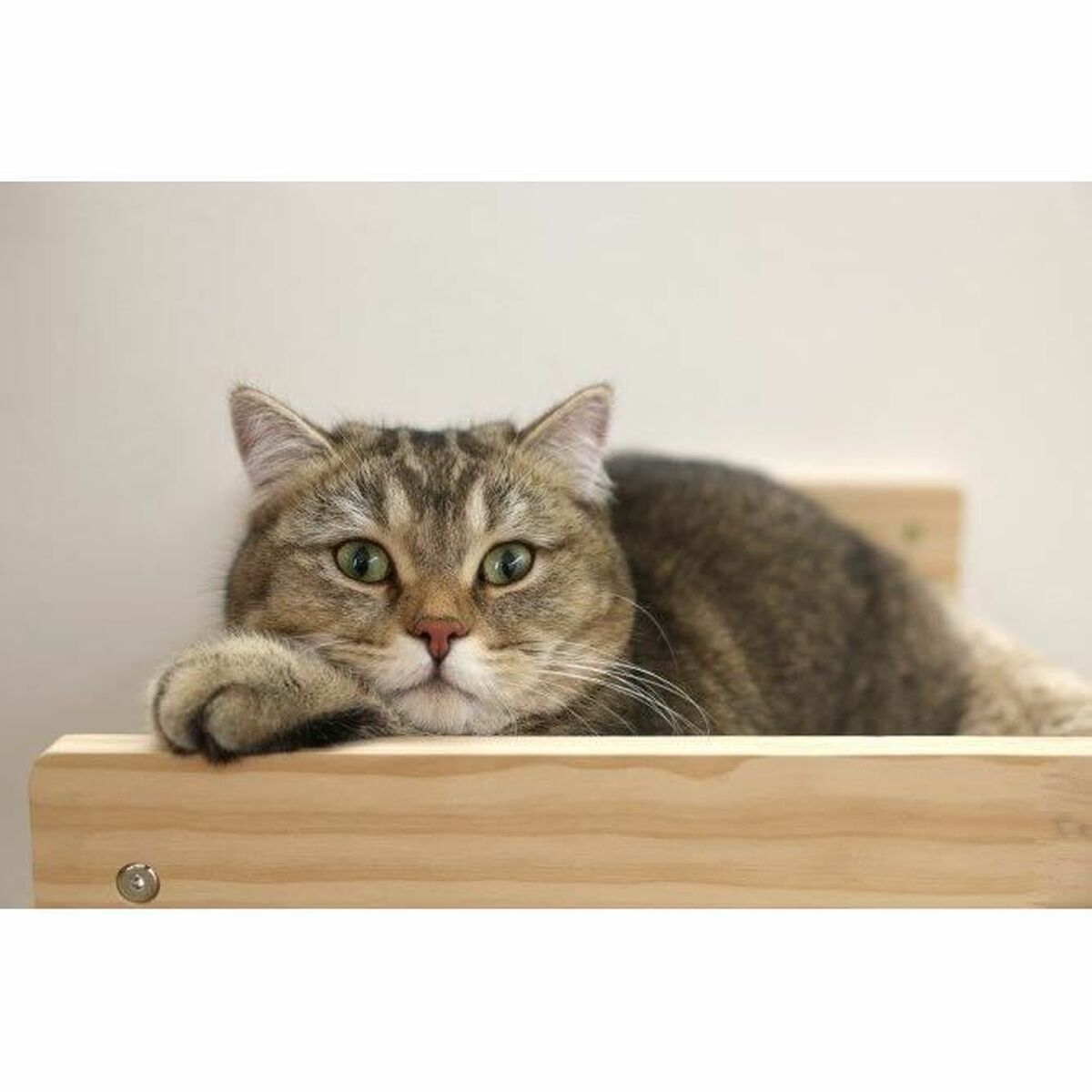 Cat Bed Kerbl TIMBER Beige