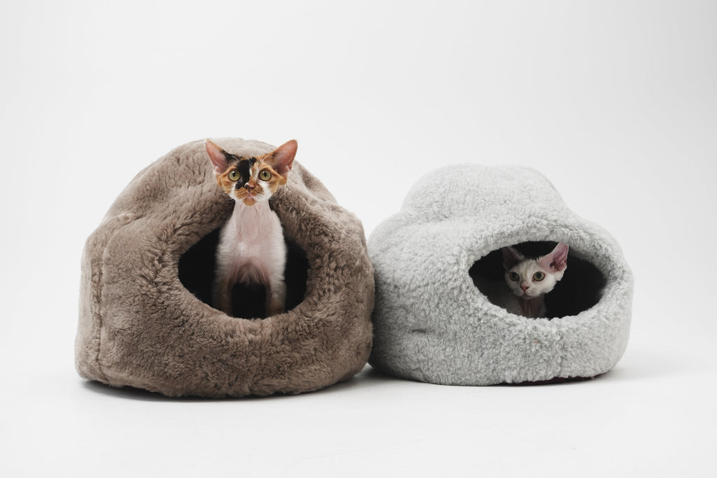 Nest Natural Woolen Pet Bed - Beige