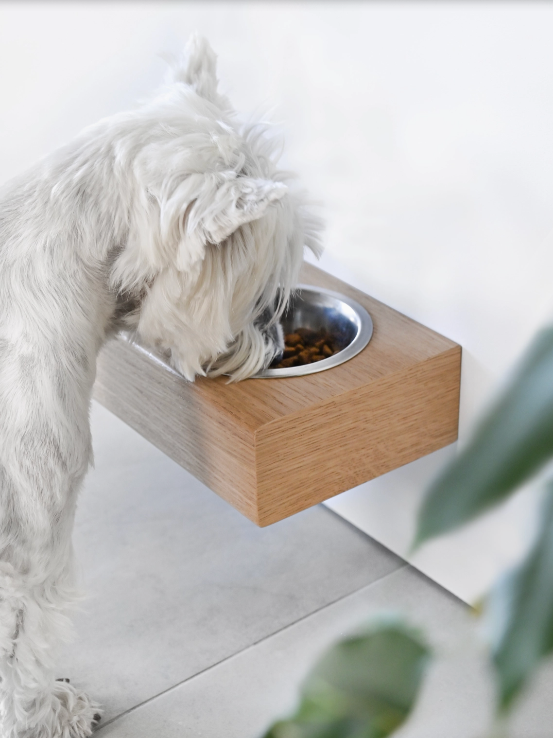 Supporto in legno sospeso con ciotole per cani e gatti di piccola taglia