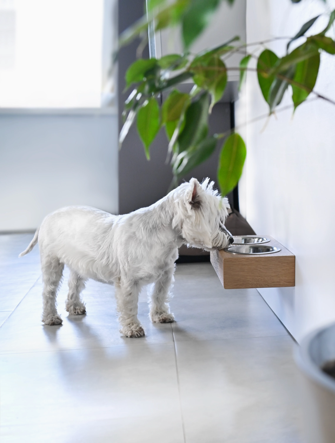 Supporto in legno sospeso con ciotole per cani e gatti di piccola taglia