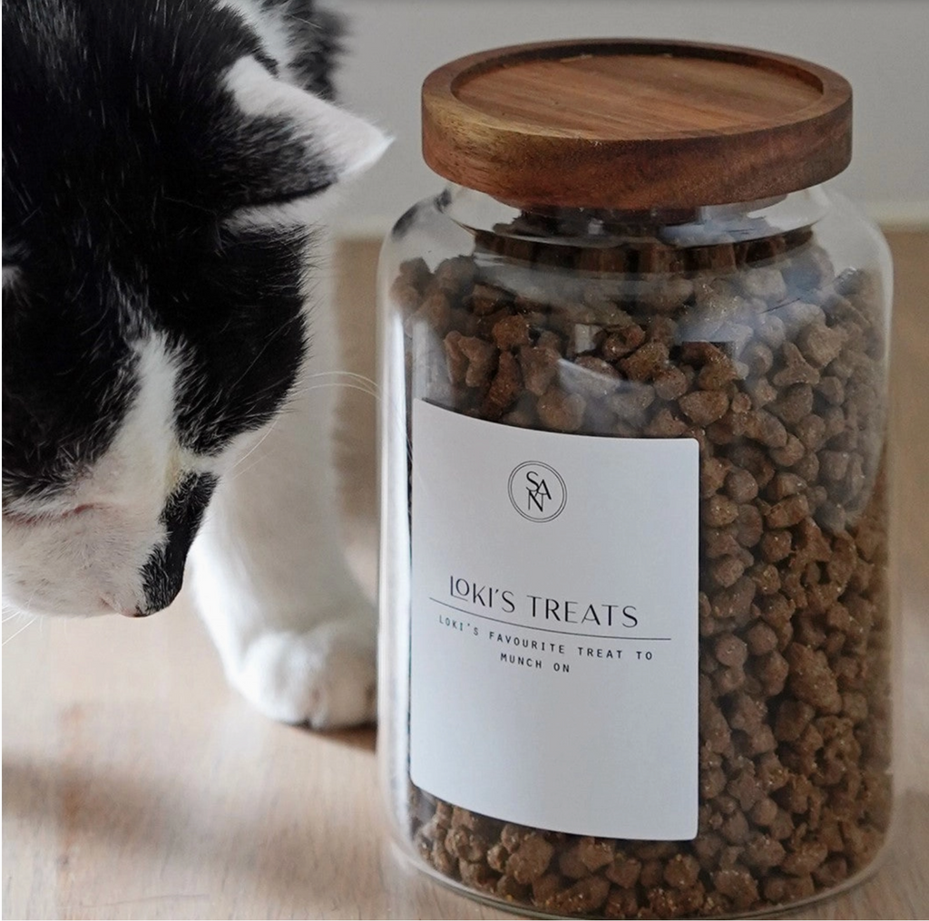 Contenitore in vetro per cibo per animali