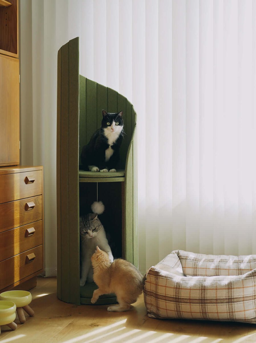 Elegant Cat Tower of Time Tree