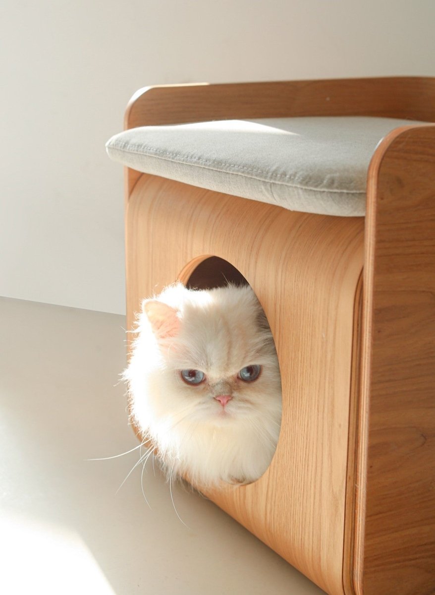 Natural Wood Cat Bed House-1